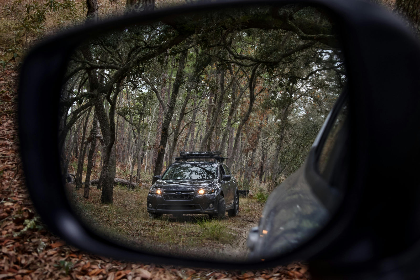 SUV reflected in side mirror during off-road trail drive in forest, LynXautoinnovate parts USA