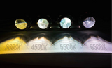 Elite XB HID Bulb Set | Silverado - LynXautoinnovate™️
