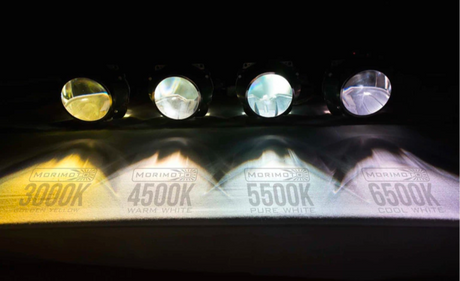Elite XB HID Bulb Set | Silverado - LynXautoinnovate™️