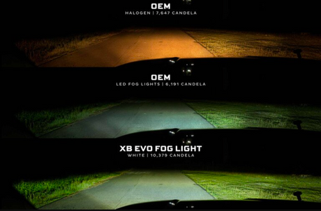 XB EVO + LED Fog Lights | Ram 1500 - LynXautoinnovate™️